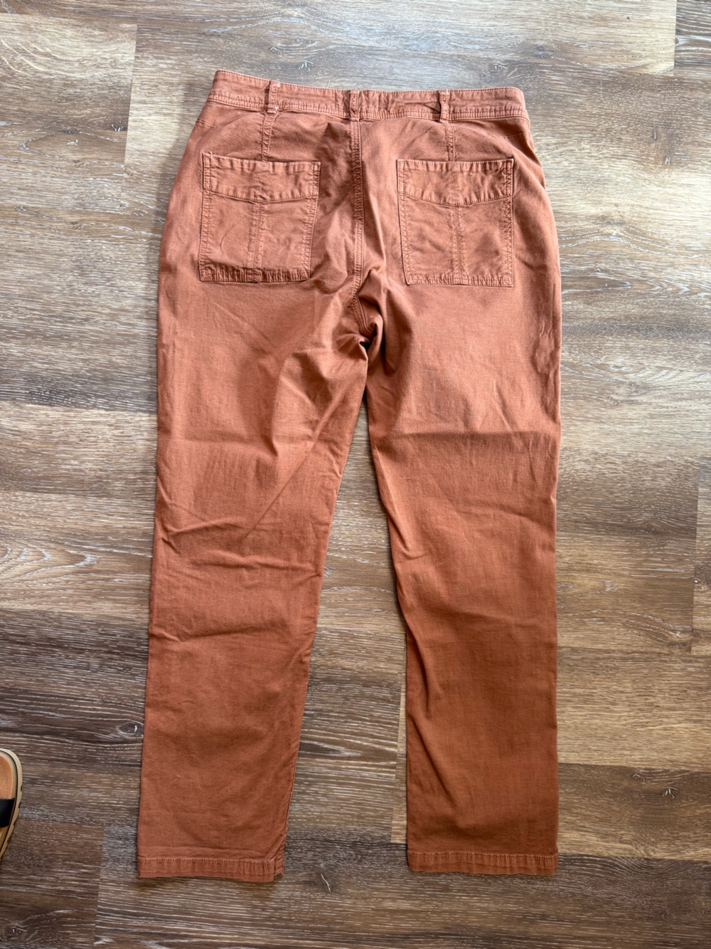 Anthropologie The Wanderer Pants in Burnt Sienna Sz 30 - Picture 10 of 13